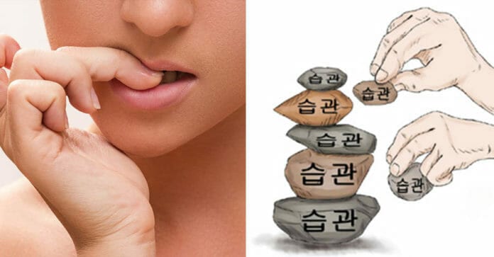 Tiếng Hàn thú vị - Bài 12 - 버릇 và 습관, thói quen hay tật xấu?