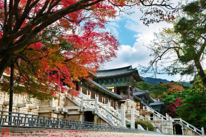 Hướng dẫn lộ trình tham quan Gyeongju