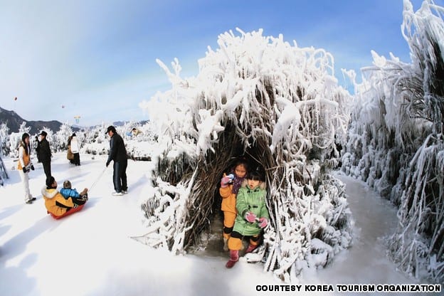 50 thắng cảnh nổi tiếng ở Hàn Quốc: Lễ hội câu cá trên băng ở Inje.