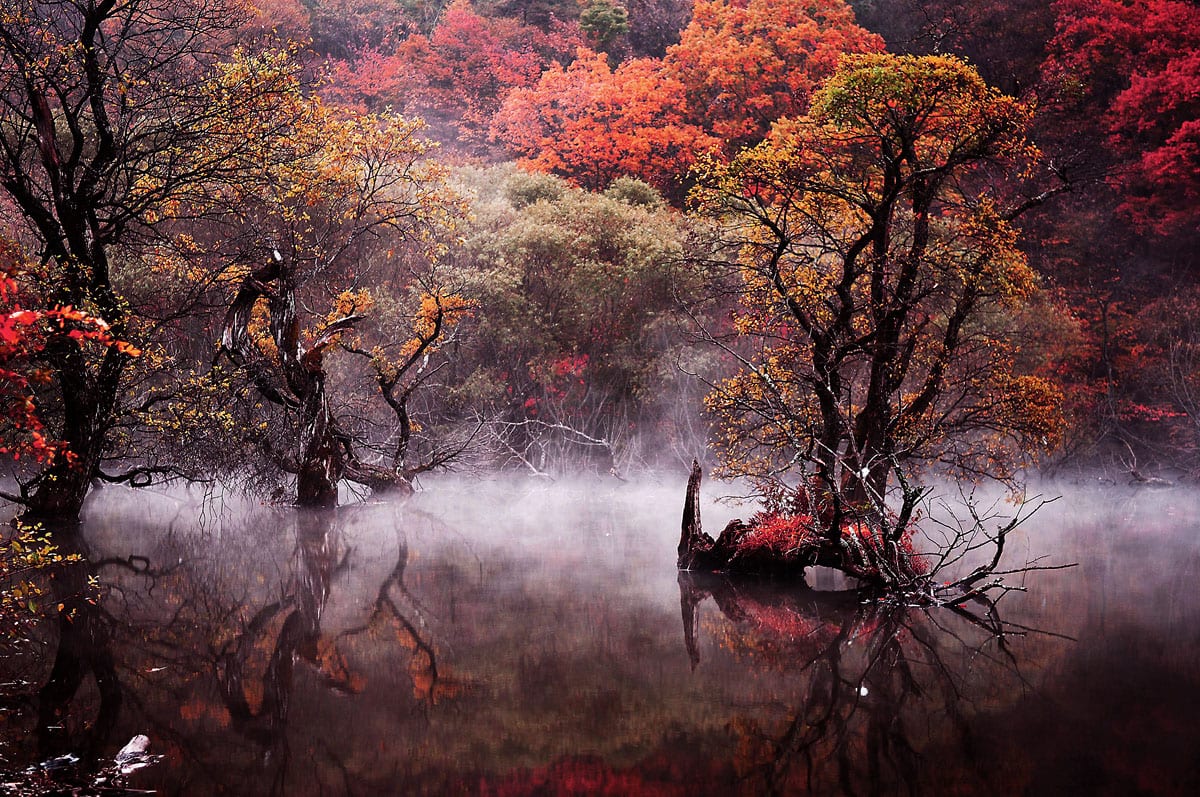 Du lịch mùa thu ở Hàn Quốc