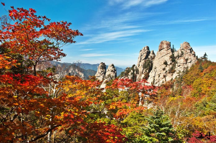 Hướng dẫn du lịch mùa thu ở Hàn Quốc