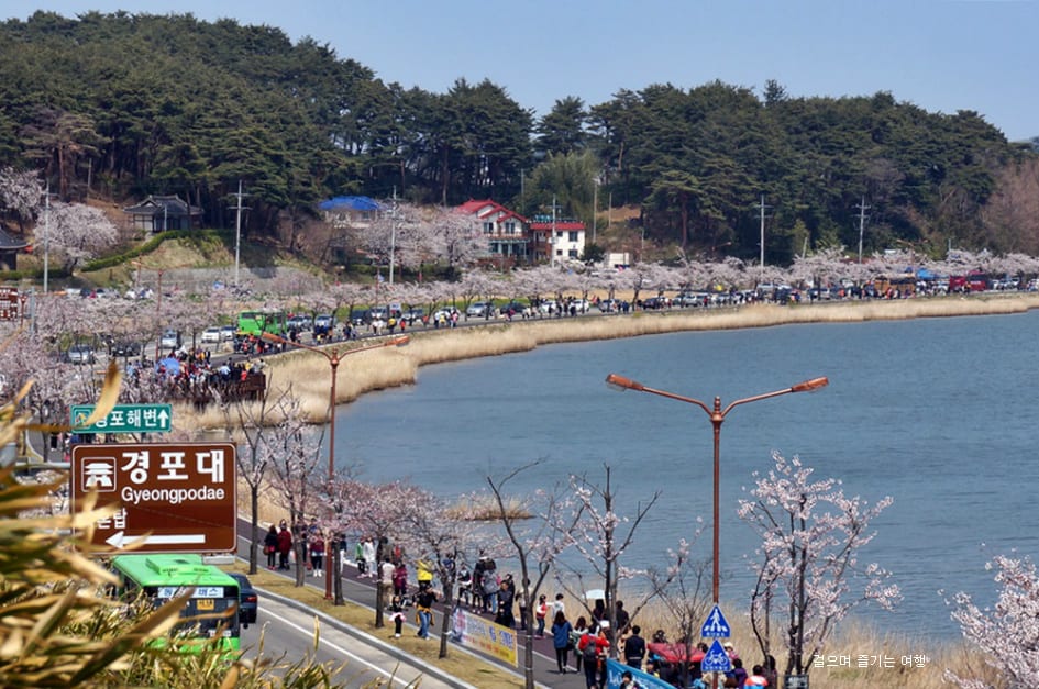 Hồ Gyeongpo, nhìn từ Kính Phổ Đài. Ảnh: daum.net