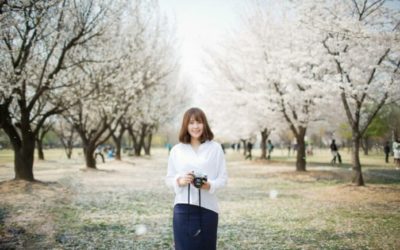 10 điểm ngắm hoa anh đào đẹp nhất Seoul