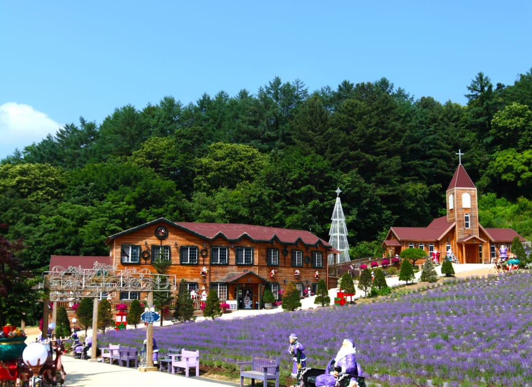 Lễ hội hoa oải hương ở Pocheon, Gyeonggi