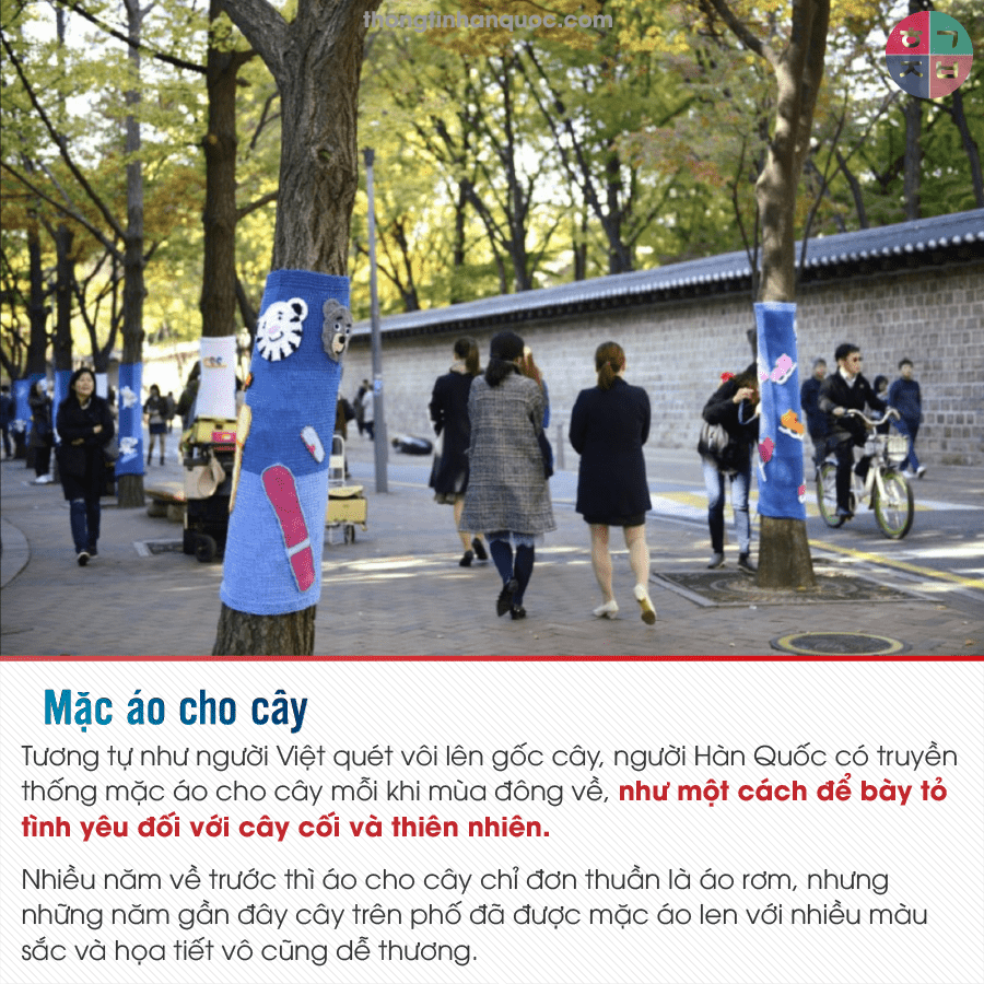 Người Hàn Quốc chuẩn bị gì cho mùa đông khắc nghiệt -24ºC?