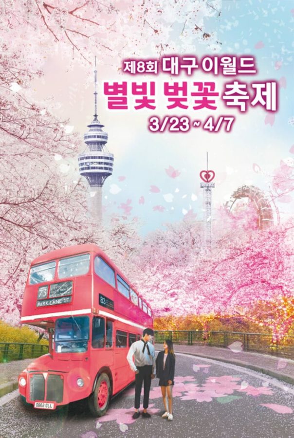 Du lịch Hàn Quốc mùa xuân - Những tour ngắm hoa anh đào lý tưởng