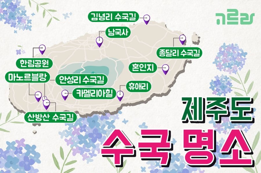 10 điểm ngắm hoa cẩm tú cầu nhất định phải đến ở Jeju