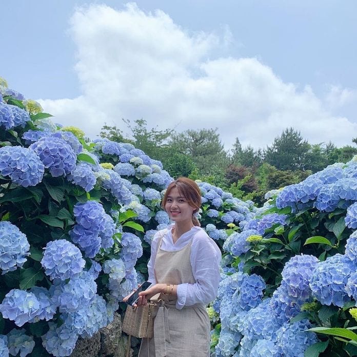 10 điểm ngắm hoa cẩm tú cầu nhất định phải đến ở Jeju