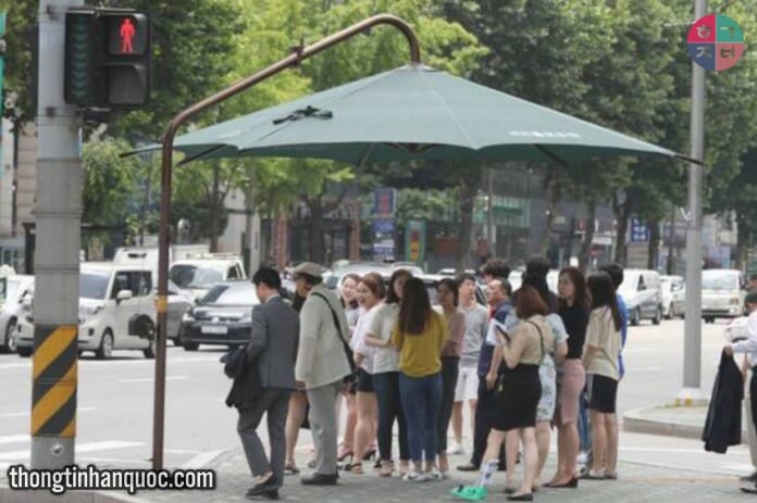 Người Hàn Quốc tránh nắng như thế nào