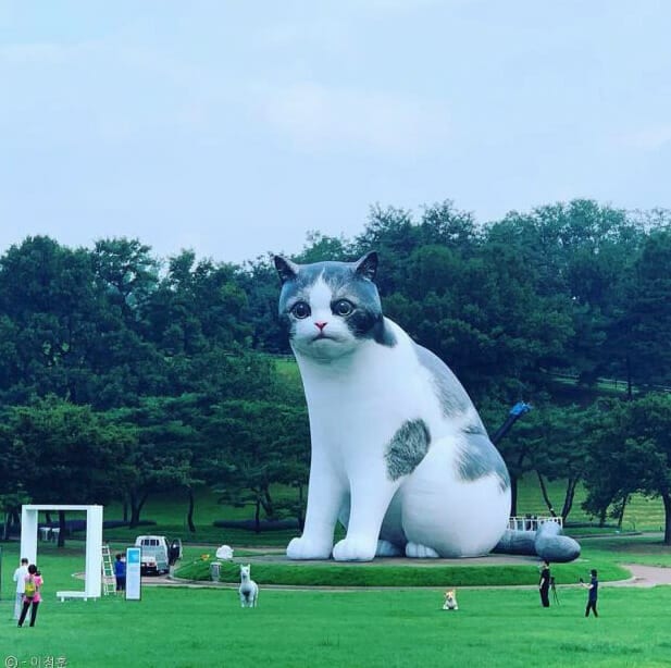 Gặp gỡ chú mèo khổng lồ ở công viên Olympic Seoul