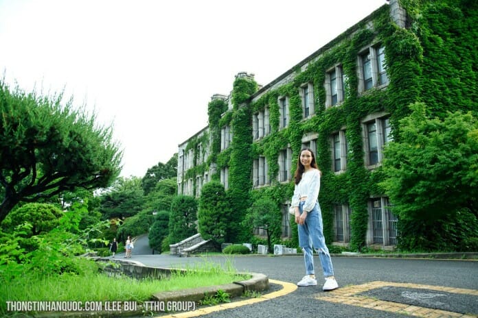 Vẻ đẹp xanh mướt của trường đại học Yonsei vào mùa hè 