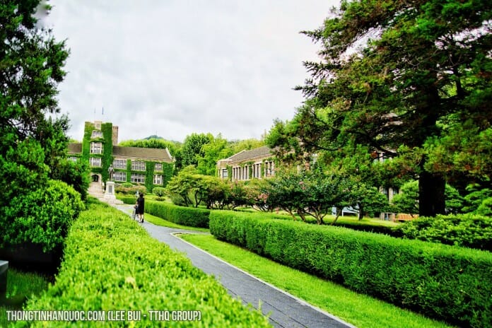 Vẻ đẹp xanh mướt của trường đại học Yonsei vào mùa hè 