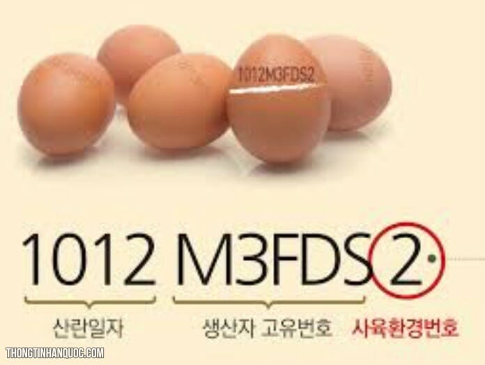 Bí mật trên vỏ trứng gà ở Hàn Quốc
