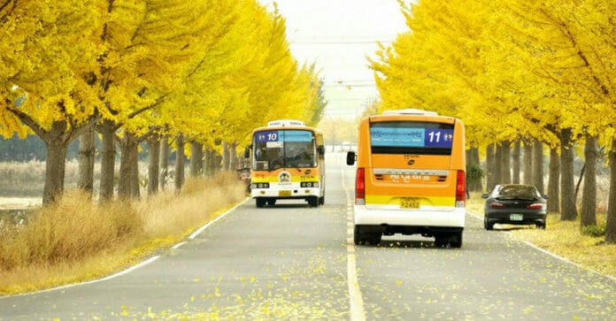 Mùa thu ở cố đô Gyeongju