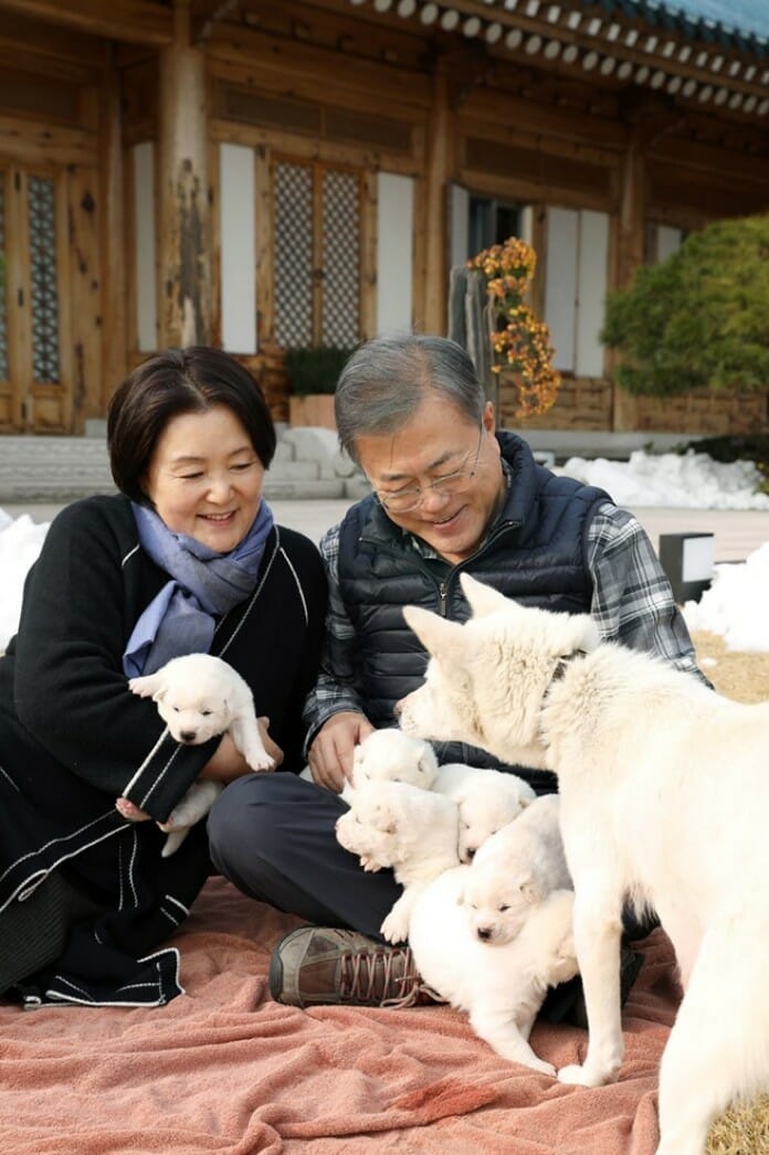 Số phận của 6 chú chó Bắc Hàn tặng Hàn Quốc