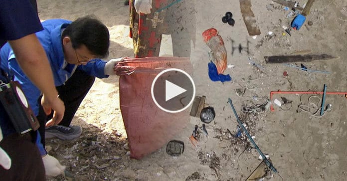 Hàn Quốc xả 6 tấn rác ra biển trong ngày “Làm sạch bờ biển” để có cái… mà nhặt