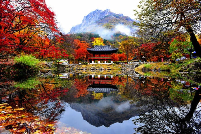 Vẻ đẹp mùa thu rực rỡ của chùa Baekyangsa ở VQG Naejangsan.