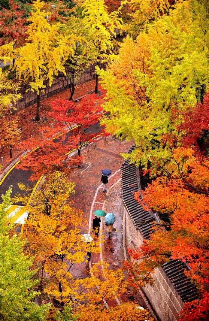 10 Địa điểm chụp ảnh mùa thu cực đẹp Hàn Quốc