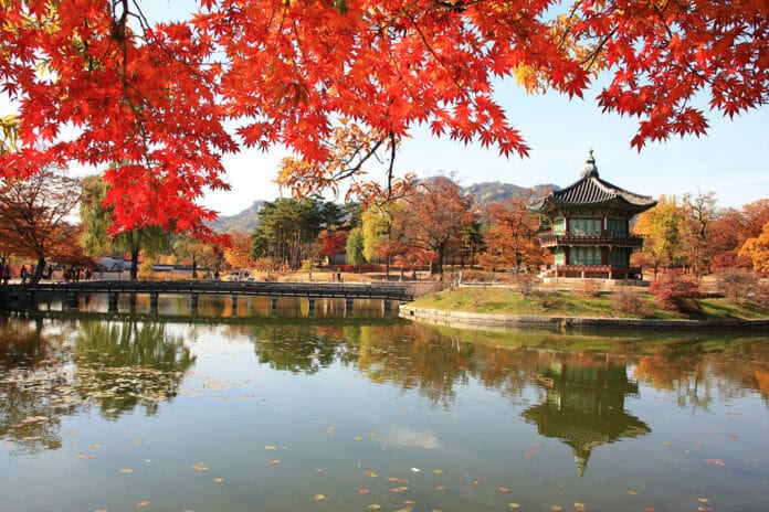 10 Địa điểm chụp ảnh mùa thu cực đẹp Hàn Quốc