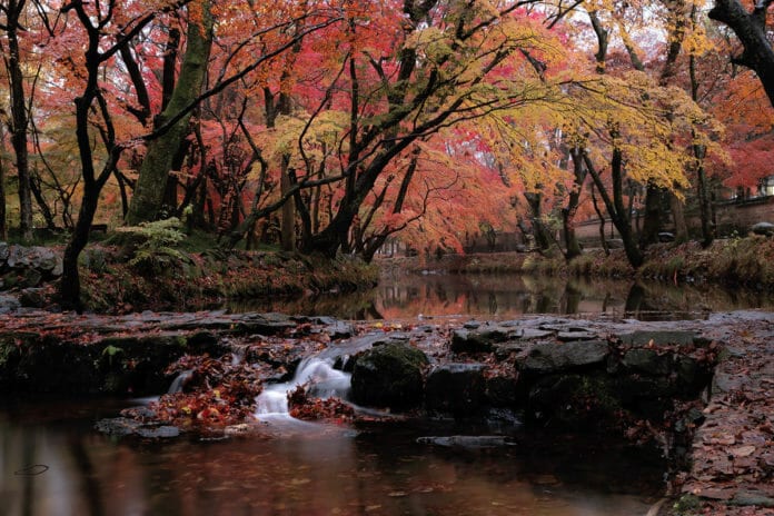 Chùa Seounsa với vẻ đẹp sâu lắng của mùa thu phản chiếu trên mặt nước.