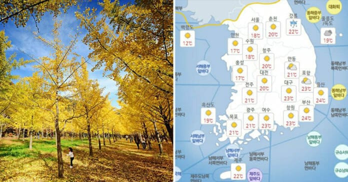 Thời tiết mùa thu ở Hàn Quốc, tuần thứ 3 của tháng 10, từ 14 ~ 20/10/2019