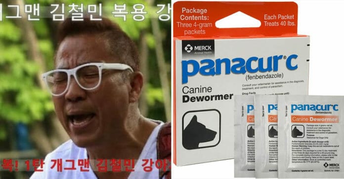 Hàn Quốc: Cơn sốt lùng thuốc tẩy giun chó vì tin đồn chữa ung thư, kiến nghị Phủ tổng thống xét nghiệm