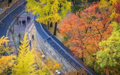 Những con đường đi dạo mùa thu đẹp tuyệt quanh thủ đô Seoul