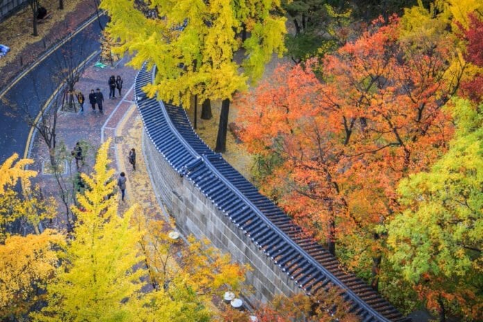 Những con đường đi dạo mùa thu đẹp tuyệt quanh thủ đô Seoul