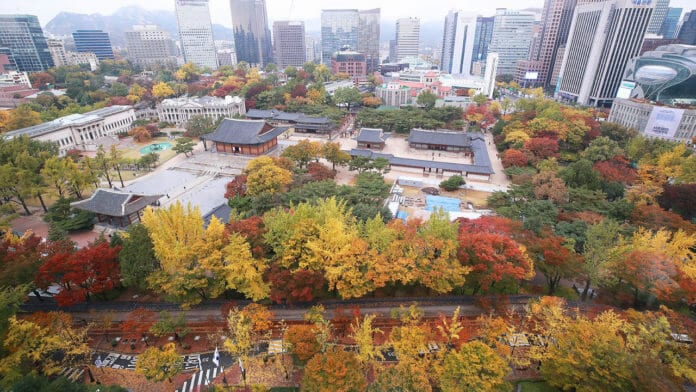 Mùa thu ở cung điện Deoksugung, nhìn từ trên cao.