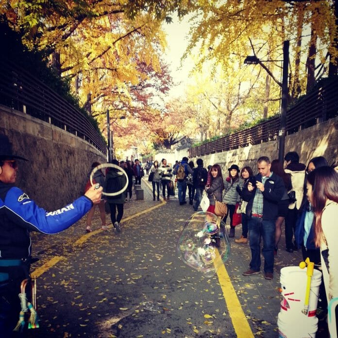 Mùa thu trên con phố cổ ở Bukchon, hàng cây ngân hạnh vàng và những du khách đang xem biểu diễn nghệ thuật.