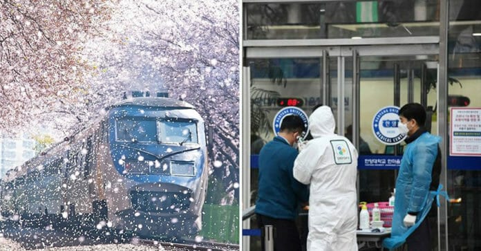 COVID-19: Một tháng trước ngày khai mạc lễ hội hoa anh đào đẹp nhất Hàn Quốc, Changwon thông báo hủy!