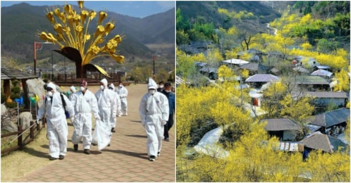 Nhóm người nhiễm bệnh khi đi ngắm hoa xuân ở Hàn Quốc