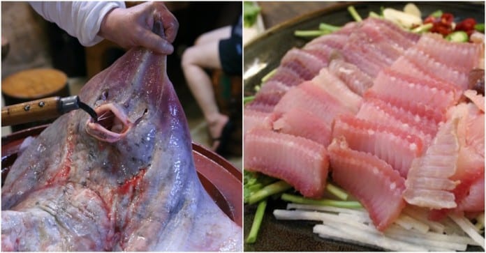 Cá đuối gai độc ăn sống kiểu Hàn Quốc - món ngon khó cưỡng