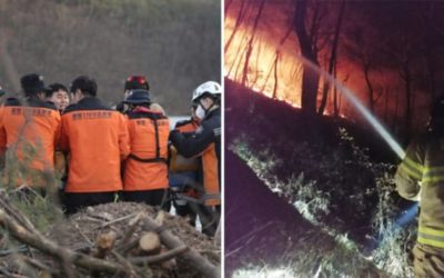 Ulsan đã tìm thấy thi thể phi công mất tích trong vụ cháy rừng