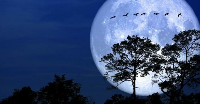 Ngày 9/3/2020 sẽ có "Siêu trăng" lần thứ 2 trong năm \~ Đến đâu ở Hàn Quốc ngắm trăng?