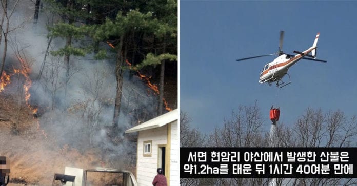 Cháy rừng tại Gangwon thiêu cháy 1.000m2 rừng