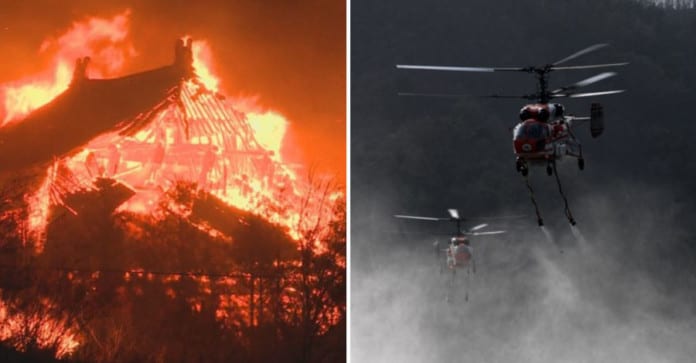 Cháy rừng bất ngờ bùng phát tại nhiều khu vực tỉnh Gangwon