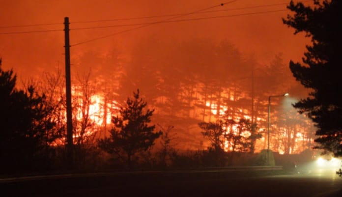 Cháy rừng Goseong, hơn 2.600 người di tản khẩn, huy động hơn 5.000 nhân lực trên cả nước