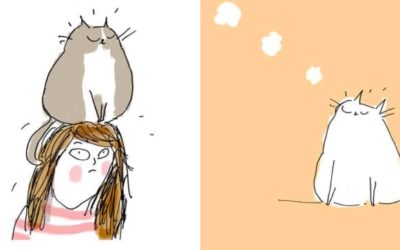Tiếng Hàn thú vị: Những bài học loài mèo “dạy” chúng ta
