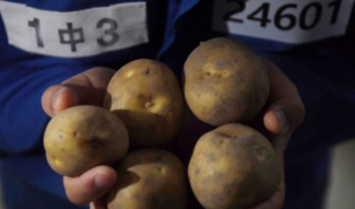 Góc tối Hàn Quốc: Rớt nước mắt câu chuyện ông cụ trở thành tội phạm bị truy nã vì... 5 củ khoai tây