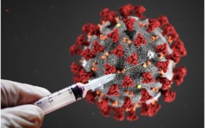 Thuốc tẩy giun ở Hàn Quốc – Từ cơn sốt trị ung thư đến hy vọng mới trong điều trị COVID-19