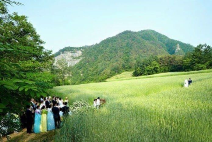 Bức ảnh hiếm hoi về đám cưới giản dị của Won Bin & Lee Na Young tổ chức giữa ruộng lúa xanh ngát.