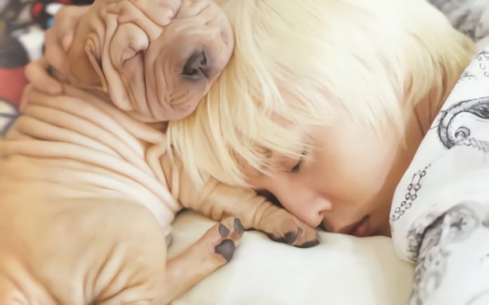 G-Dragon "khiêu khích" netizen Hàn sau khi bị chỉ trích bỏ bê thú cưng