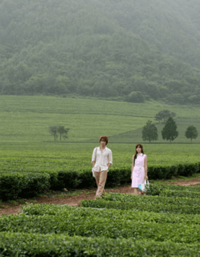 Một cảnh trong phim Hương Mùa Hè, Min Woo và Hye Won sánh vai trên đồi chè Boseong xanh mướt.