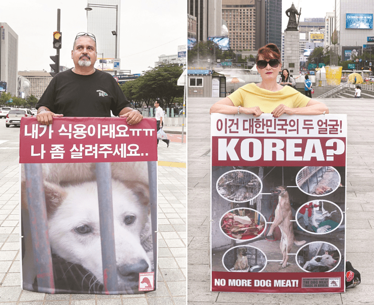 Người nước ngoài giơ biển hiệu phản đối người Hàn Quốc ăn thịt chó.