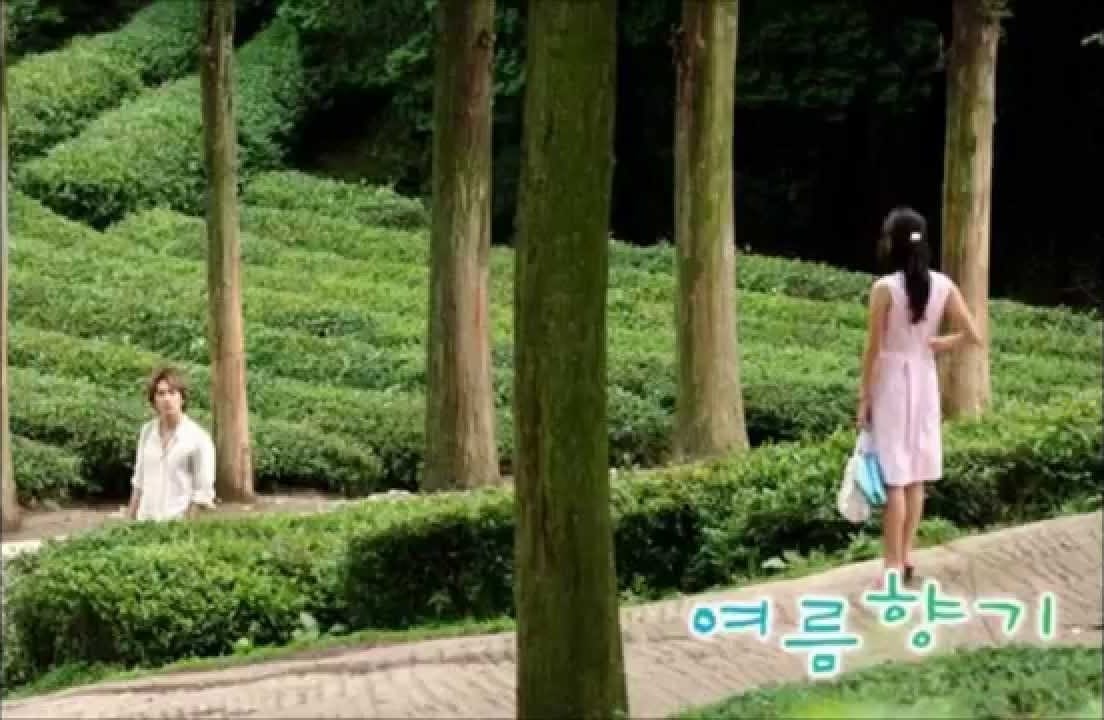 Hương Mùa Hè: Min Woo & Hye Won tình chờ nhìn thấy nhau ở đồi chè Boseong.