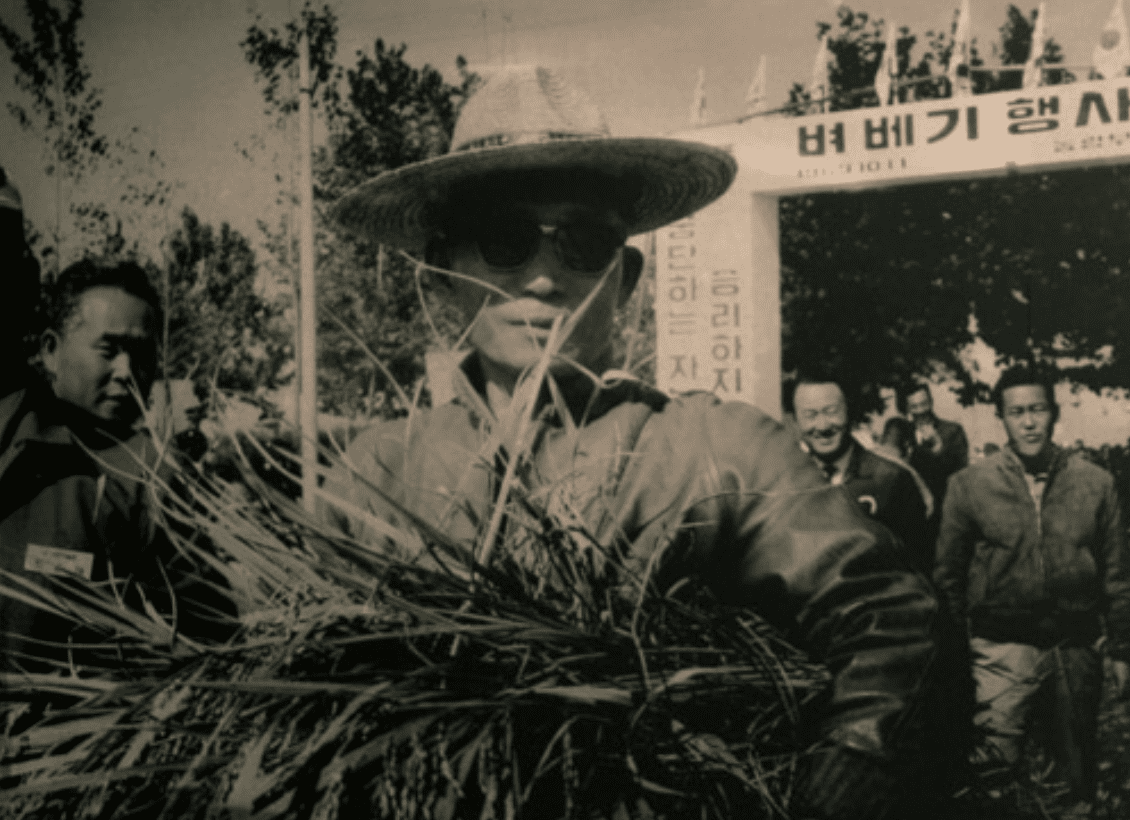 Park Chung Hee đội nón lá và ôm bó rơm trong phong trào vận động đổi mới nông thôn Hàn Quốc.