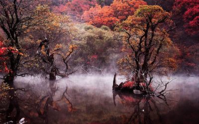 10 Địa điểm chụp ảnh mùa thu cực đẹp ở Hàn Quốc