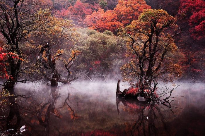 10 Địa điểm chụp ảnh mùa thu cực đẹp ở Hàn Quốc - Hồ Jusanji.